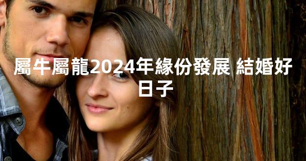 屬牛屬龍2024年緣份發展 結婚好日子